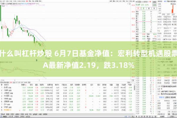 什么叫杠杆炒股 6月7日基金净值：宏利转型机遇股票A最新净值2.19，跌3.18%