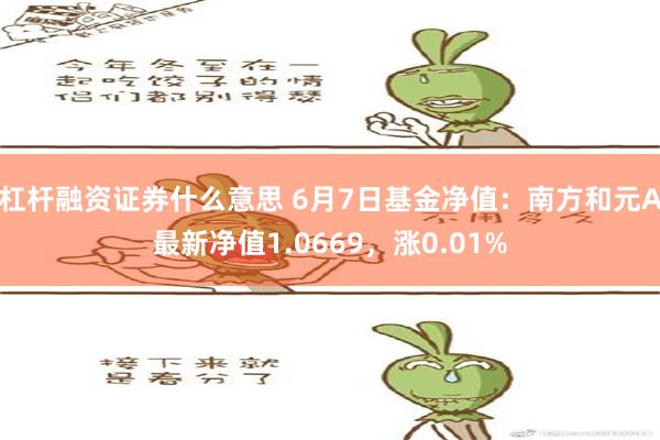 杠杆融资证券什么意思 6月7日基金净值：南方和元A最新净值1.0669，涨0.01%