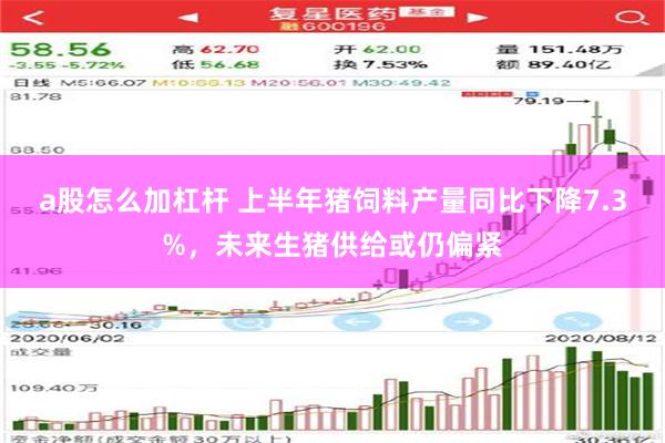 a股怎么加杠杆 上半年猪饲料产量同比下降7.3%，未来生猪供给或仍偏紧