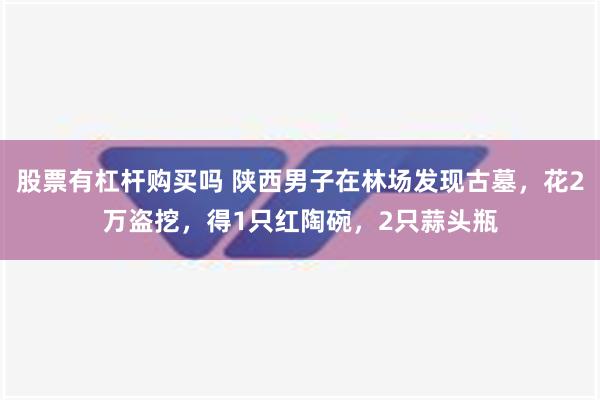 股票有杠杆购买吗 陕西男子在林场发现古墓，花2万盗挖，得1只红陶碗，2只蒜头瓶