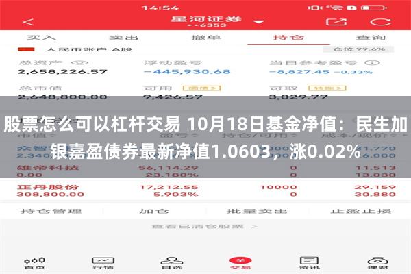 股票怎么可以杠杆交易 10月18日基金净值：民生加银嘉盈债券最新净值1.0603，涨0.02%