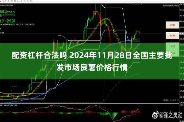 配资杠杆合法吗 2024年11月28日全国主要批发市场良薯价格行情